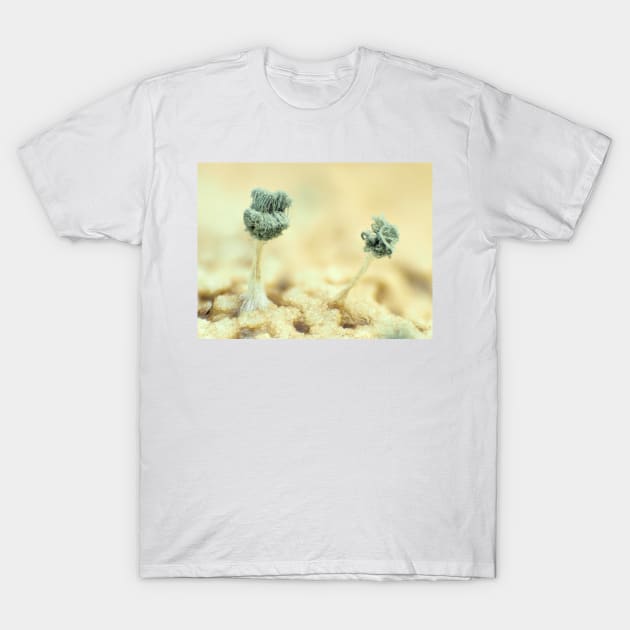 Mold under the microscope T-Shirt by SDym Photography